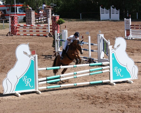 broodmare Eichof's Sissi de Bour (German Riding Pony, 2002, from Night-Cup) broodmare Eichof's Sissi de Bour (German Riding Pony, 2002, from Night-Cup)