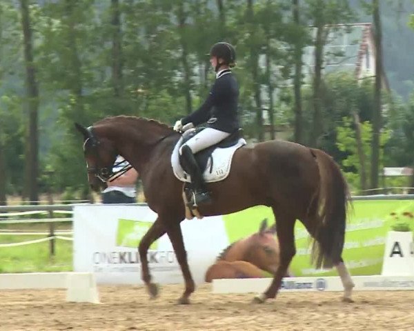 Reitturnier Babenhausen/Schw. 2020