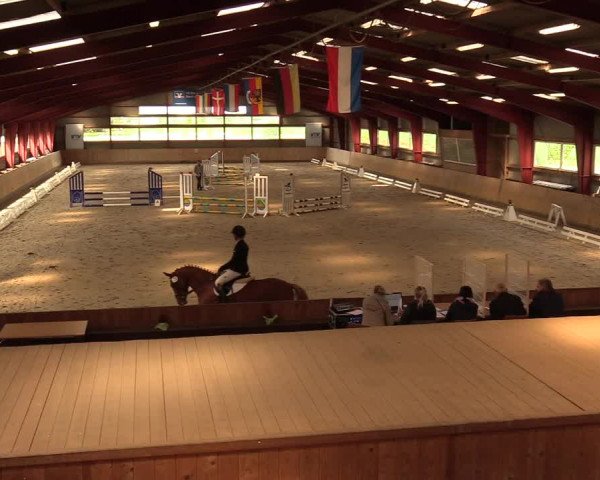 Reitturnier Süderlügum 2020