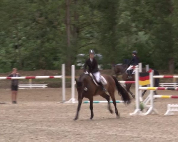 Reitturnier Kleinostheim/Ufr. 2020