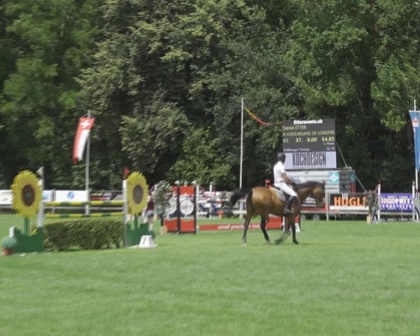 Reitturnier Kappelen-Lyss 2020