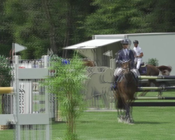 Reitturnier Kappelen-Lyss 2020