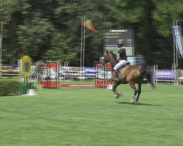 Reitturnier Kappelen-Lyss 2020