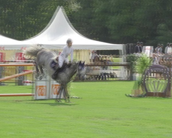 Reitturnier Kappelen-Lyss 2020