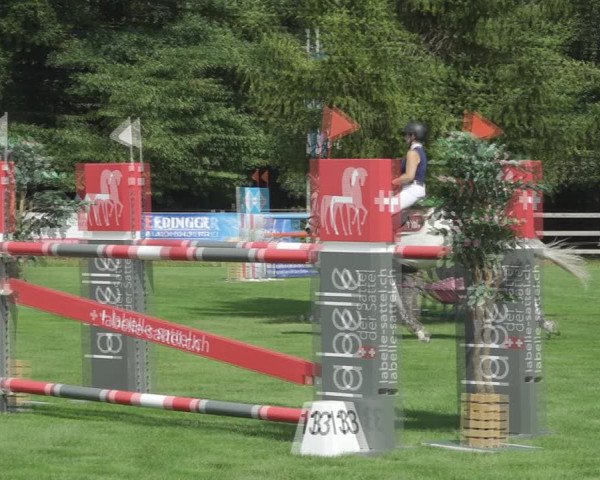 Reitturnier Kappelen-Lyss 2020