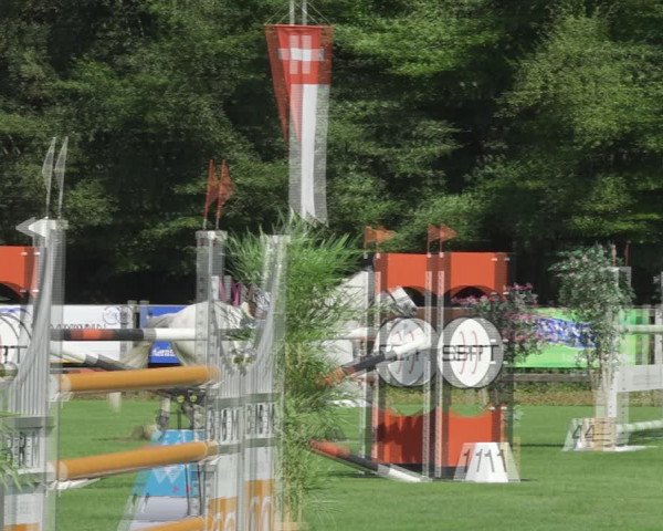 Reitturnier Kappelen-Lyss 2020