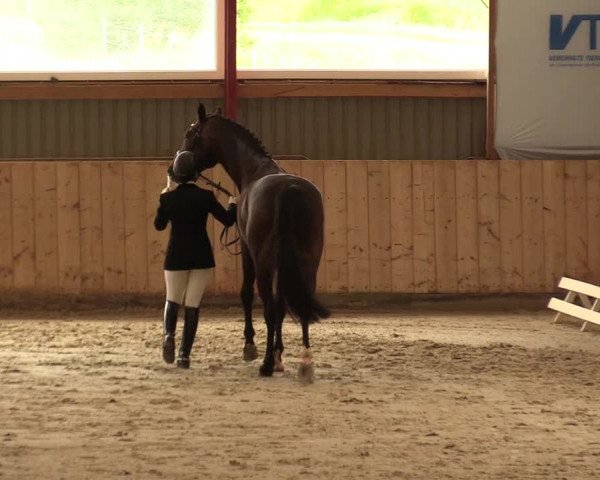 Reitturnier Süderlügum 2020