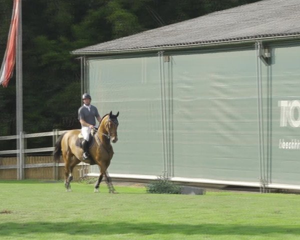 Reitturnier Kappelen-Lyss 2020