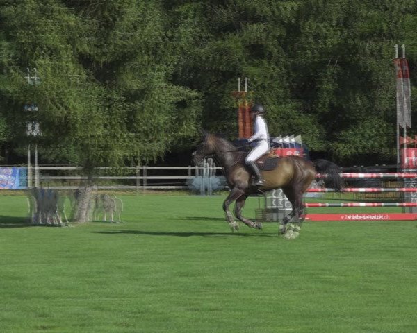 Reitturnier Kappelen-Lyss 2020