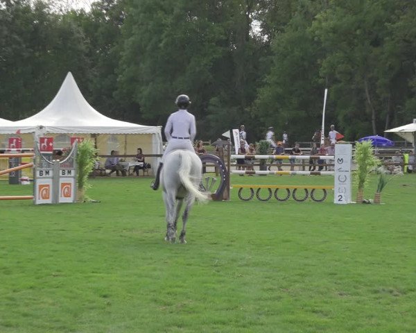 Reitturnier Kappelen-Lyss 2020