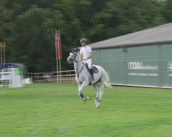 Reitturnier Kappelen-Lyss 2020