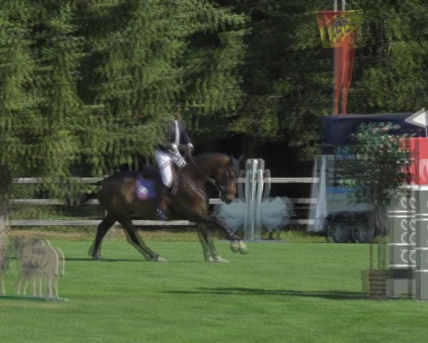 Reitturnier Kappelen-Lyss 2020