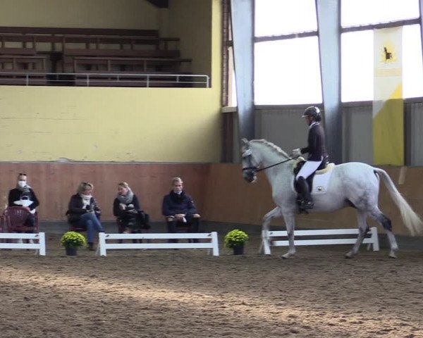 Reitturnier Frechen-Grefrath - Sonnenhof 2021