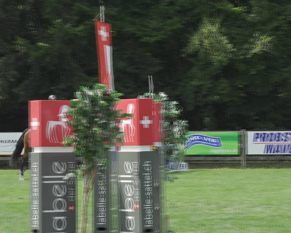 Reitturnier Kappelen-Lyss 2020