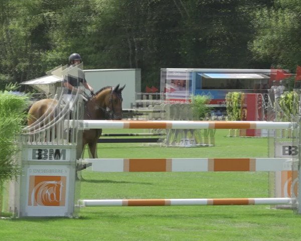 Reitturnier Kappelen-Lyss 2020
