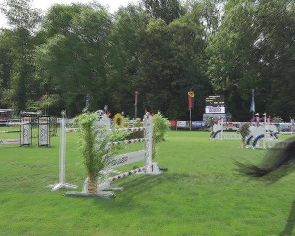 Reitturnier Kappelen-Lyss 2020