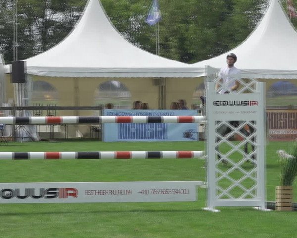 Reitturnier Kappelen-Lyss 2020