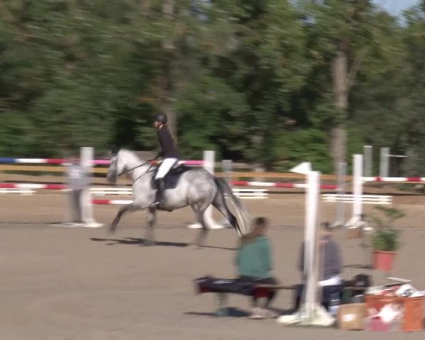 Reitturnier Kleinostheim/Ufr. 2020