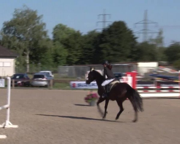Reitturnier Kleinostheim/Ufr. 2020