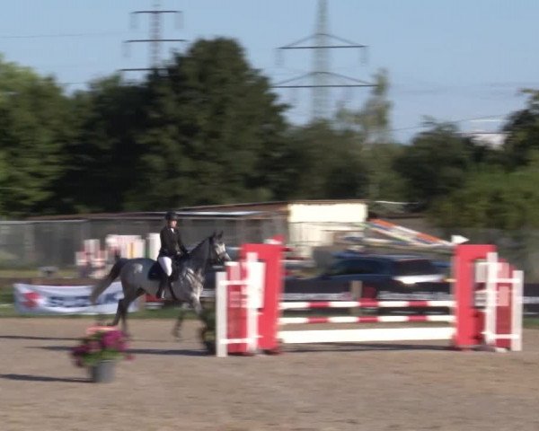 Reitturnier Kleinostheim/Ufr. 2020