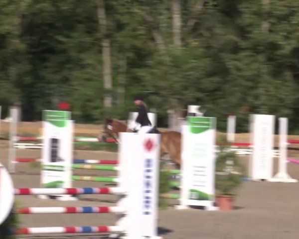 Reitturnier Kleinostheim/Ufr. 2020