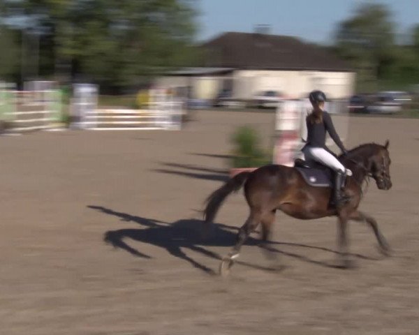 Reitturnier Kleinostheim/Ufr. 2020