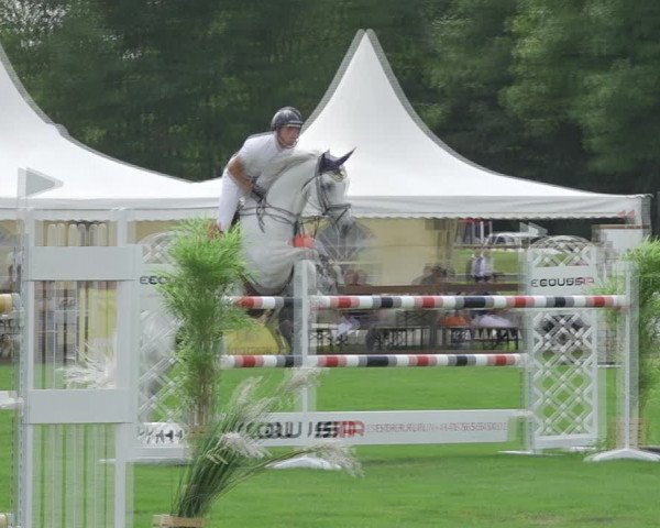 Reitturnier Kappelen-Lyss 2020