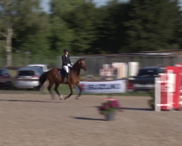 Reitturnier Kleinostheim/Ufr. 2020