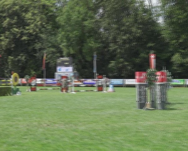 Reitturnier Kappelen-Lyss 2020