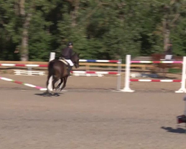 Reitturnier Kleinostheim/Ufr. 2020