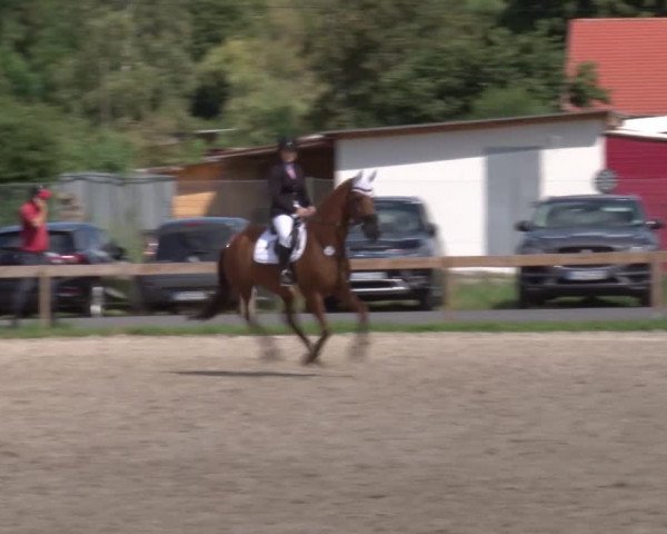 Reitturnier Kleinostheim/Ufr. 2020