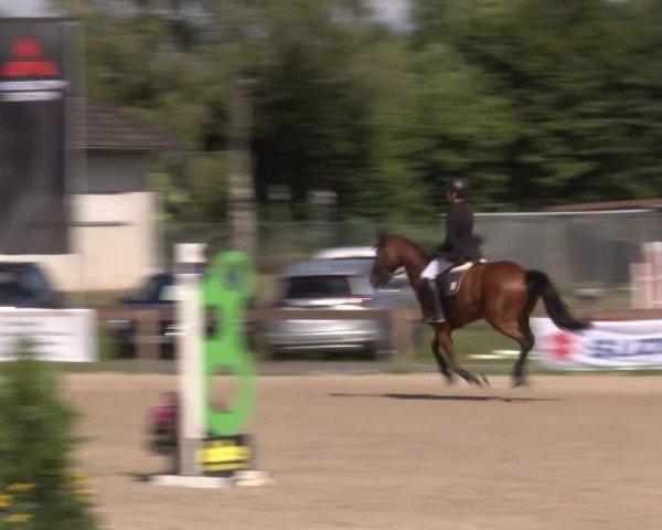 Reitturnier Kleinostheim/Ufr. 2020