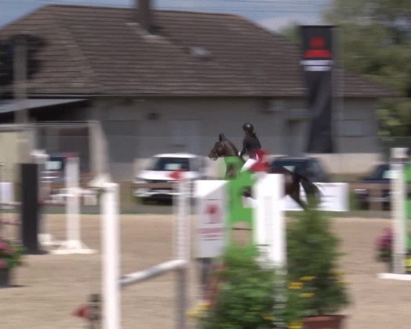 Reitturnier Kleinostheim/Ufr. 2020