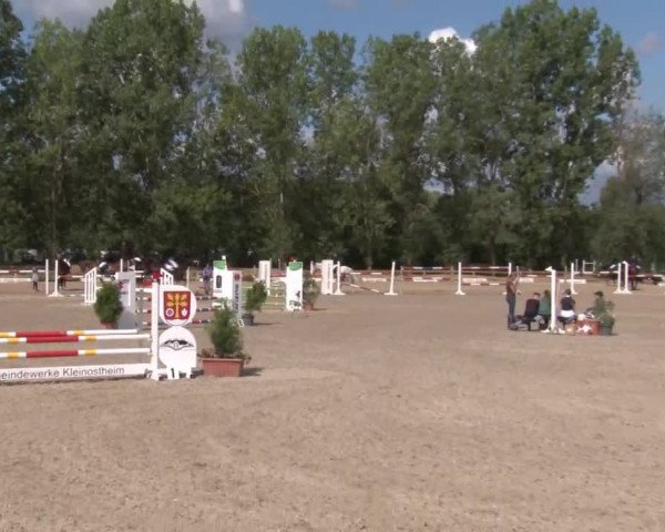 Reitturnier Kleinostheim/Ufr. 2020