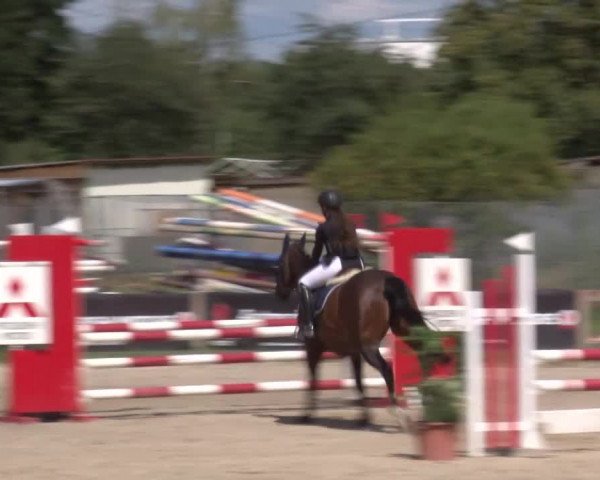 Reitturnier Kleinostheim/Ufr. 2020