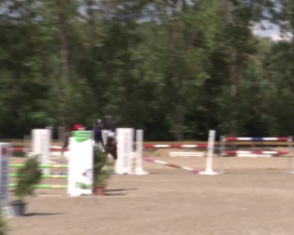 Reitturnier Kleinostheim/Ufr. 2020