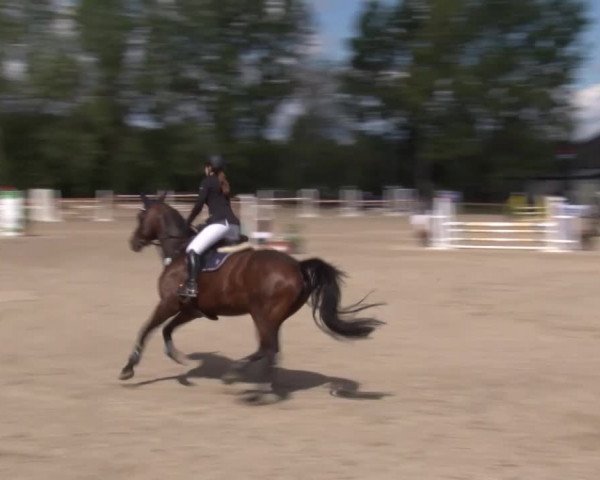 Reitturnier Kleinostheim/Ufr. 2020