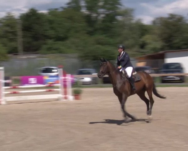 Reitturnier Kleinostheim/Ufr. 2020