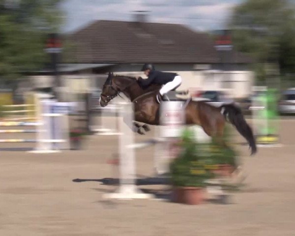 Reitturnier Kleinostheim/Ufr. 2020