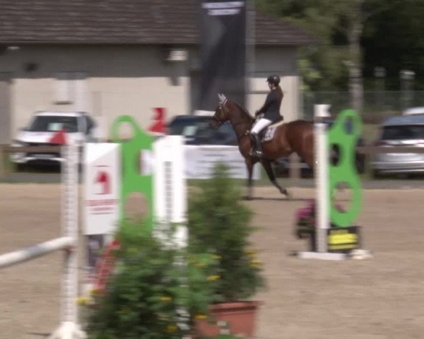 Reitturnier Kleinostheim/Ufr. 2020