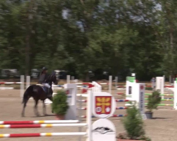 Reitturnier Kleinostheim/Ufr. 2020
