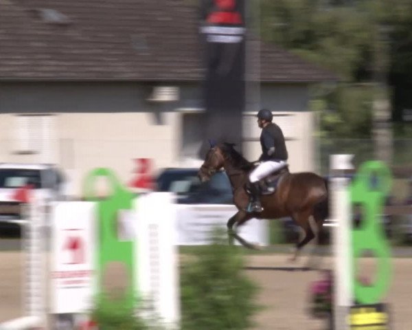 Reitturnier Kleinostheim/Ufr. 2020