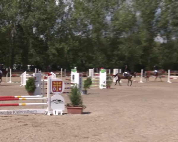 Reitturnier Kleinostheim/Ufr. 2020