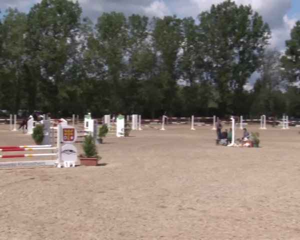 Reitturnier Kleinostheim/Ufr. 2020