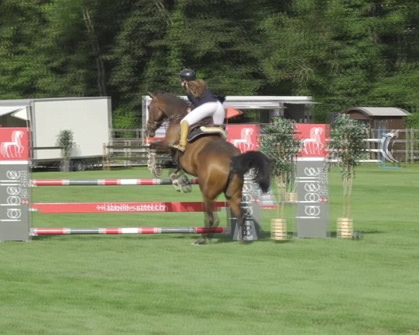 Reitturnier Kappelen-Lyss 2020