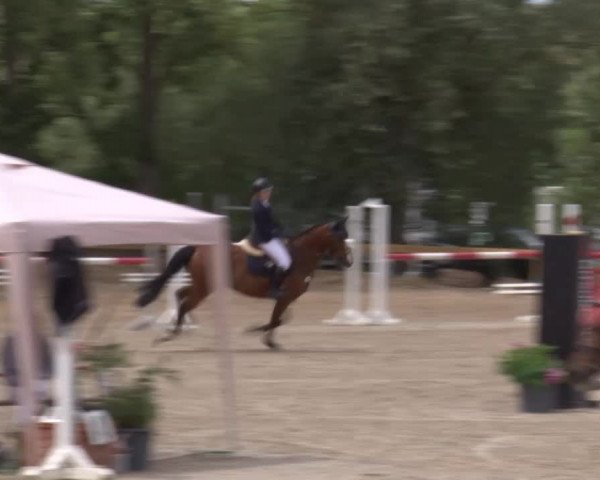 Reitturnier Kleinostheim/Ufr. 2020