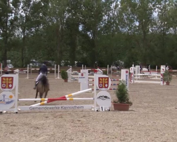 Reitturnier Kleinostheim/Ufr. 2020