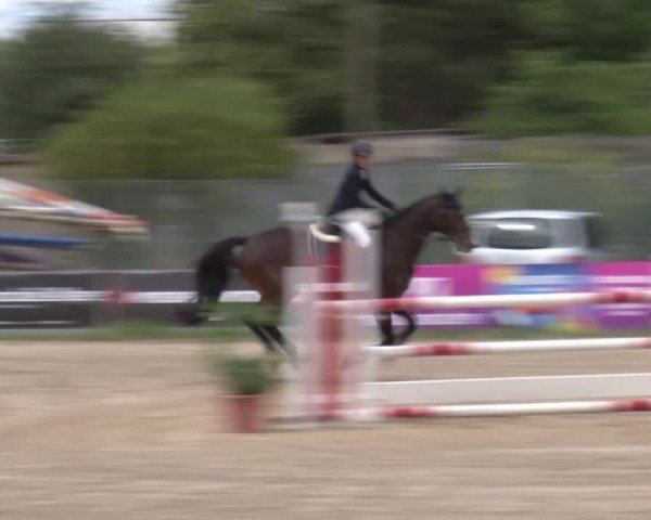 Reitturnier Kleinostheim/Ufr. 2020