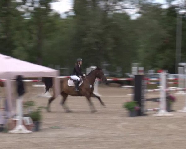 Reitturnier Kleinostheim/Ufr. 2020