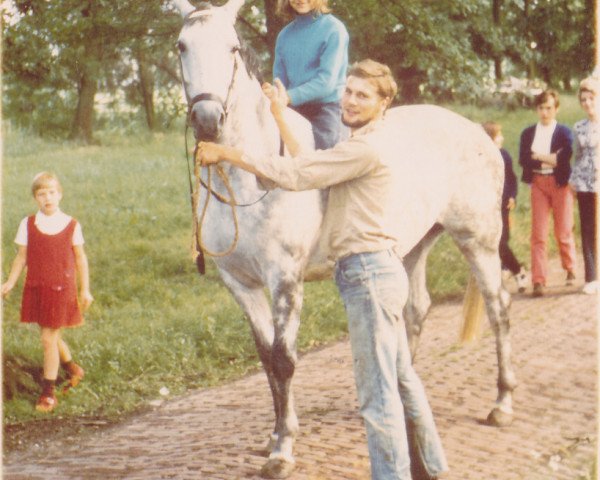 broodmare Wanda (Holsteiner, 1962, from Master Richard xx)